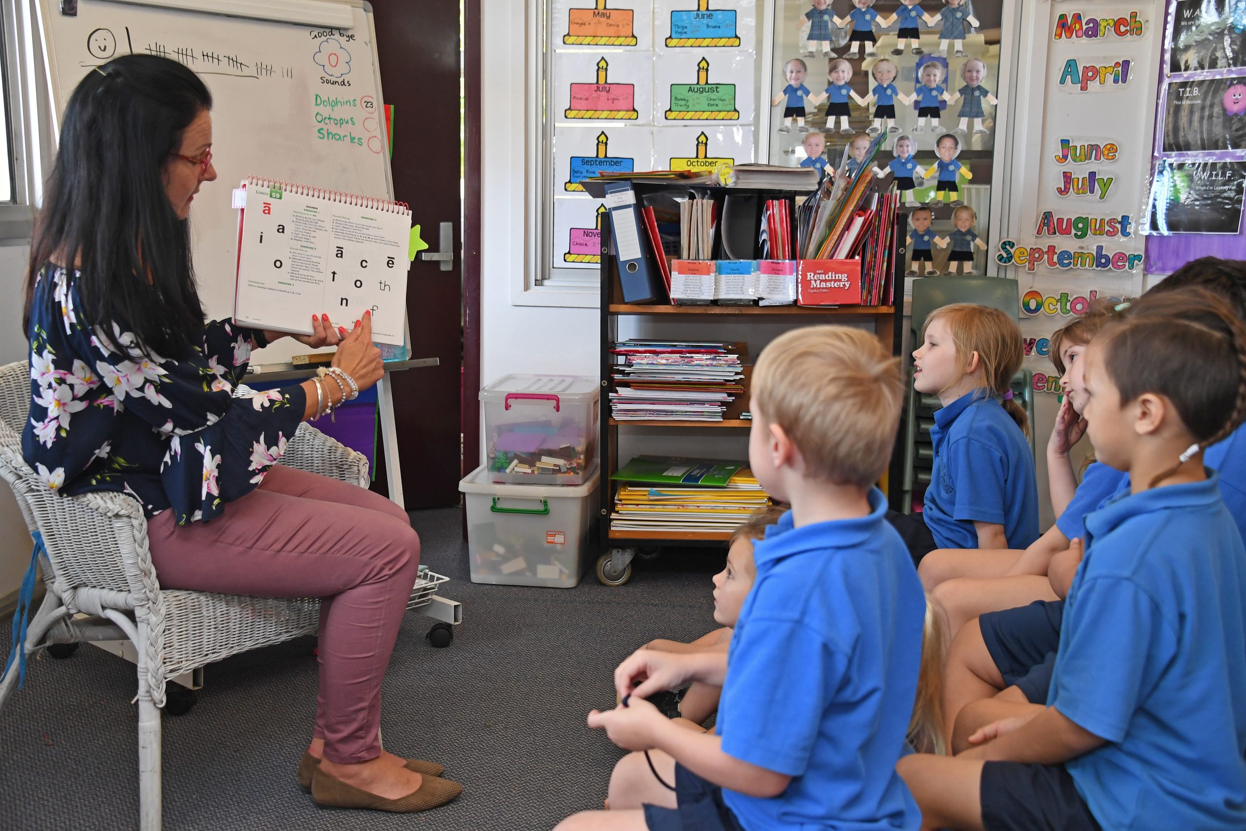Achieve School-Wide Excellence with Direct Instruction